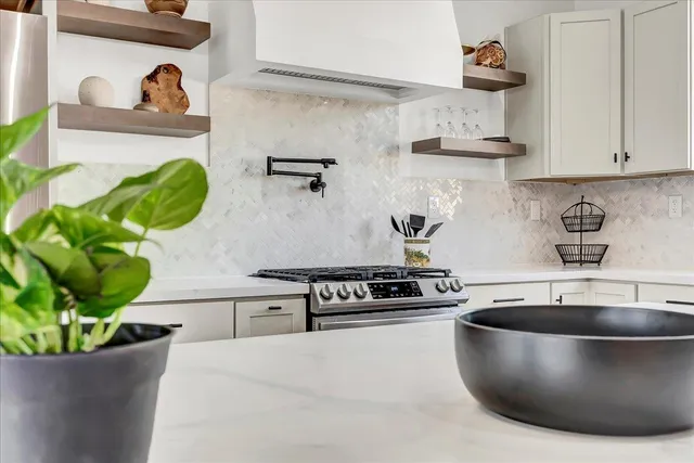 a kitchen with a stove and a potted plant