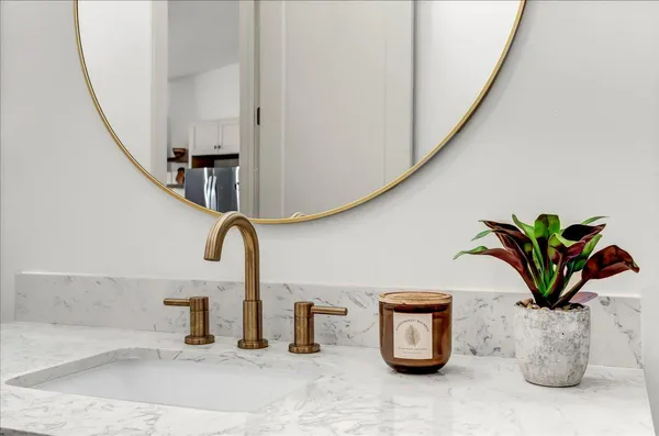 a close view of sink a faucet and a potted plant on a counter
