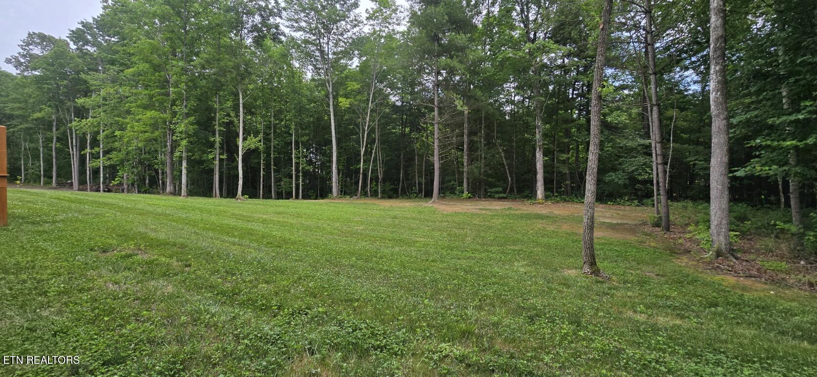 1149 Toomey Falls Road Oneida, TN 37841 - Photo 48 of 51 20260609_141756