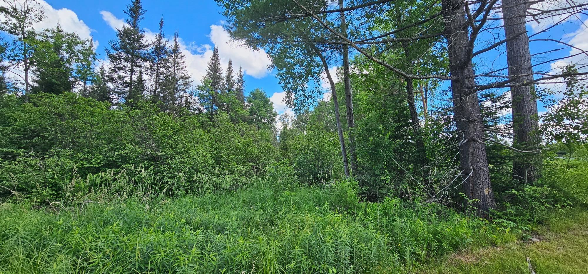 Lot 4 Baade Road Rhinelander, WI 54501 - Photo 10 of 16