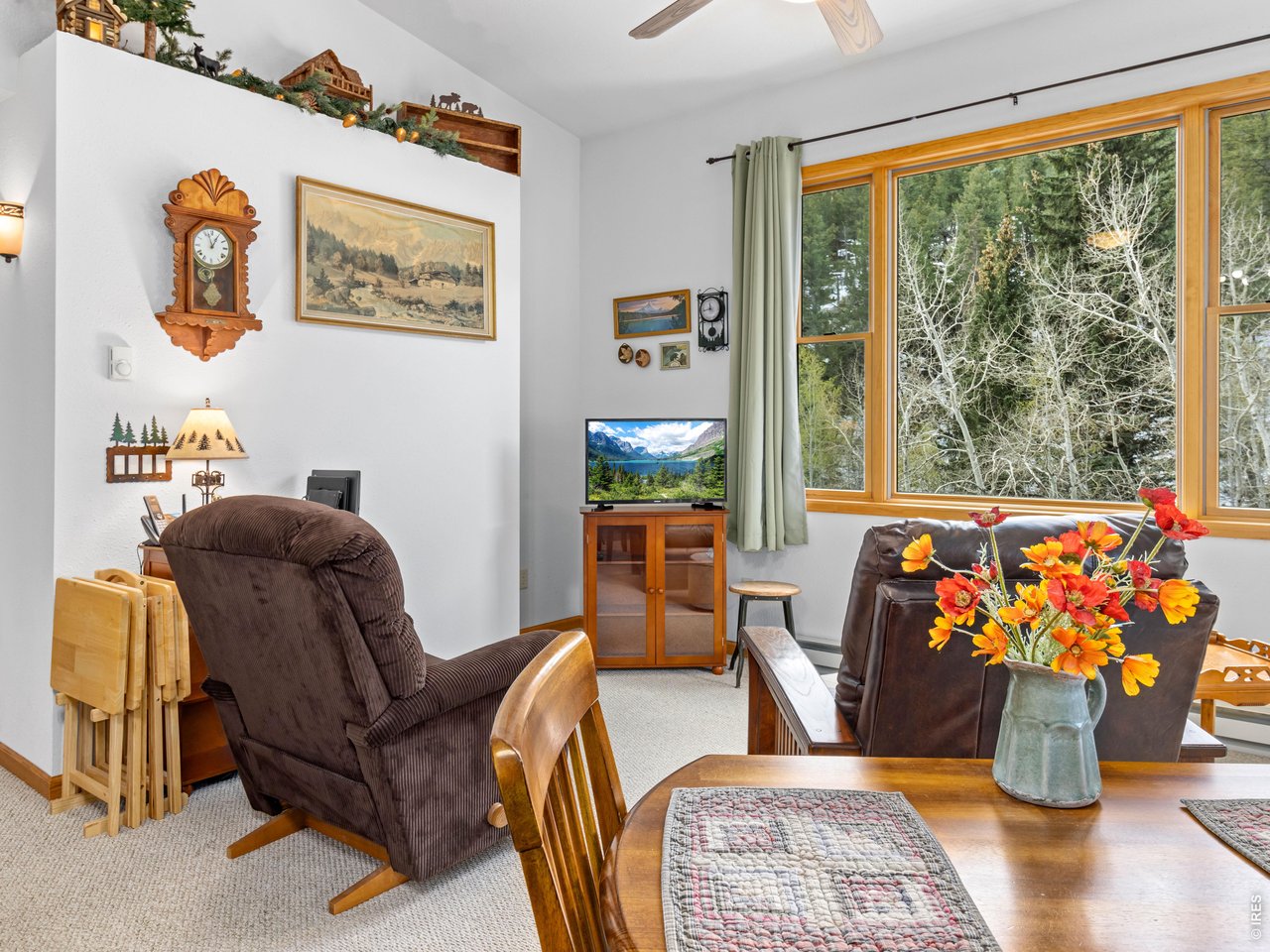 1002 Streamside Drive Drake, CO 80515 - Photo 15 of 37 a living room with furniture and a large window