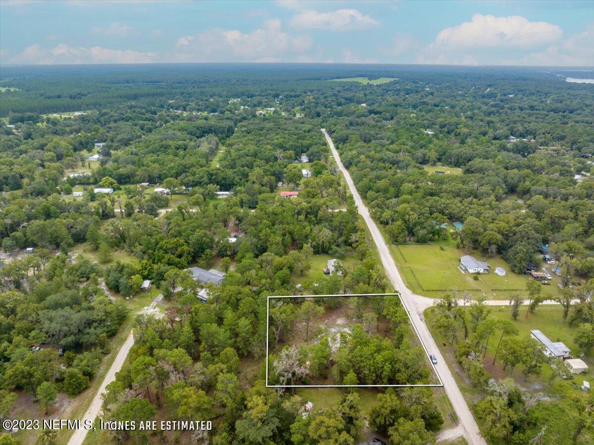 208 4th Street Satsuma, FL 32189 - Photo 6 of 15 a view of a yard