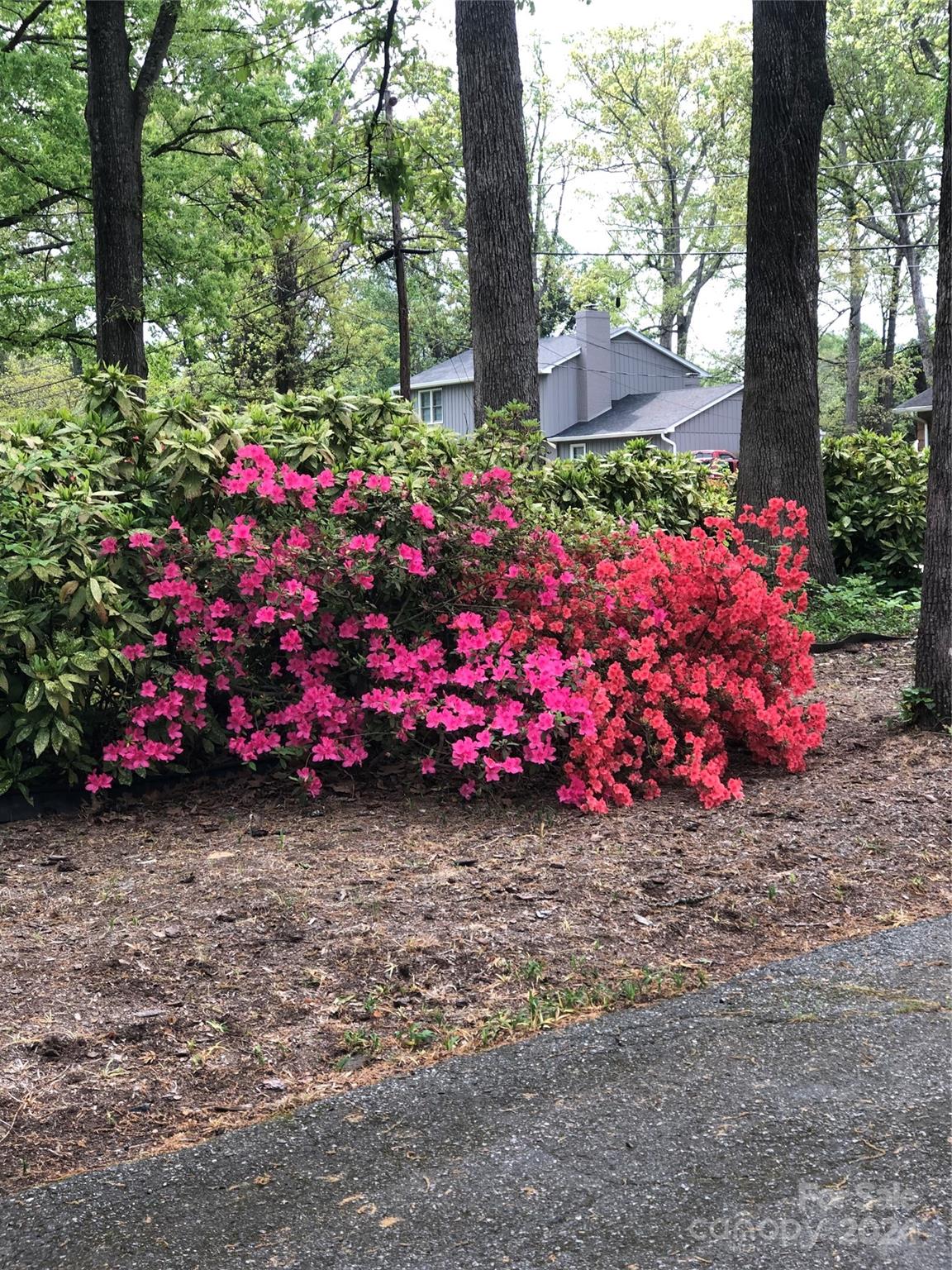224 Stonewall Road Salisbury, NC 28144 - Photo 27 of 44 Gallery Image 27