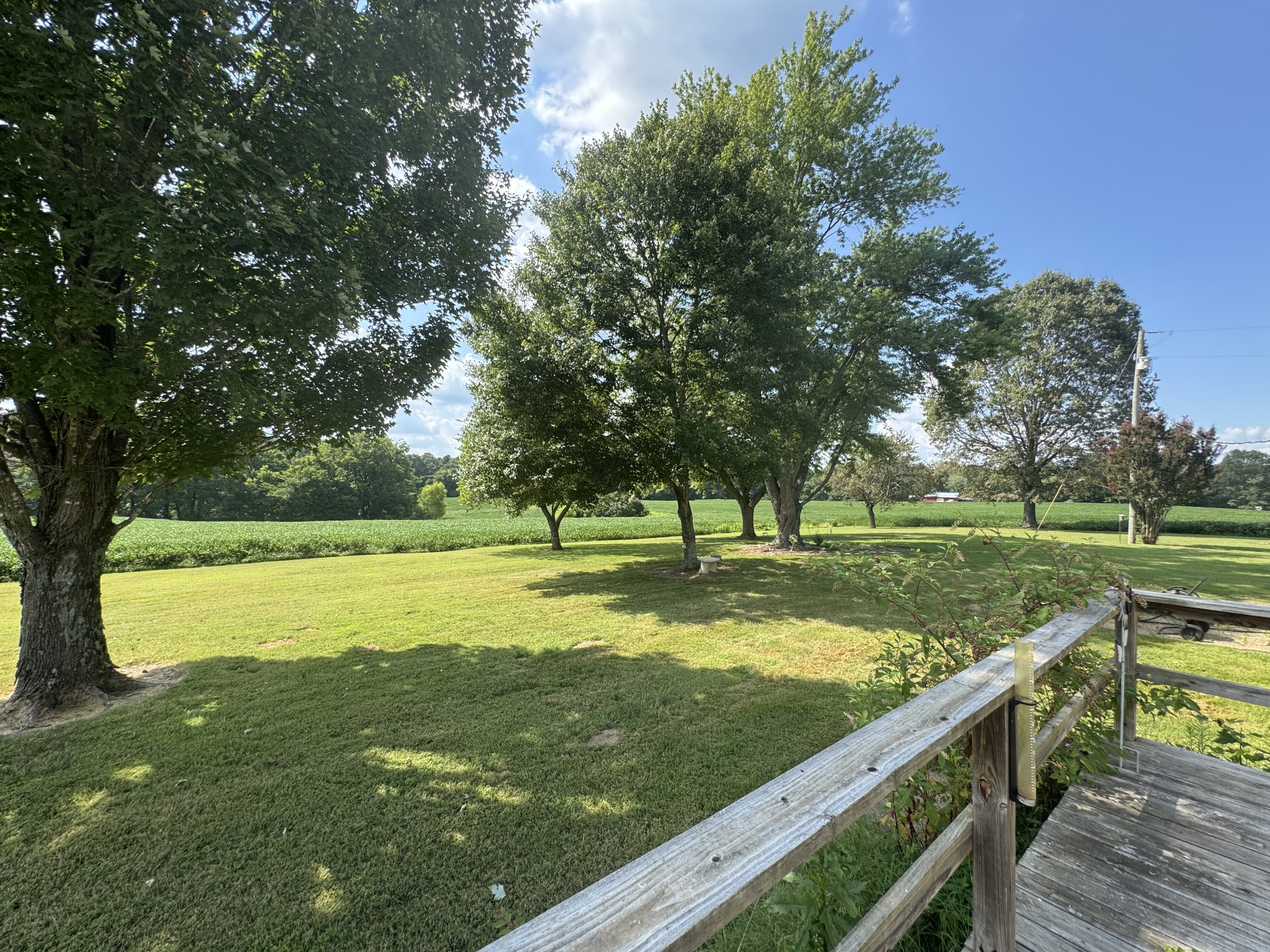 471 Pierce Road Martin, TN 38237 - Photo 34 of 40 Gallery Image 34