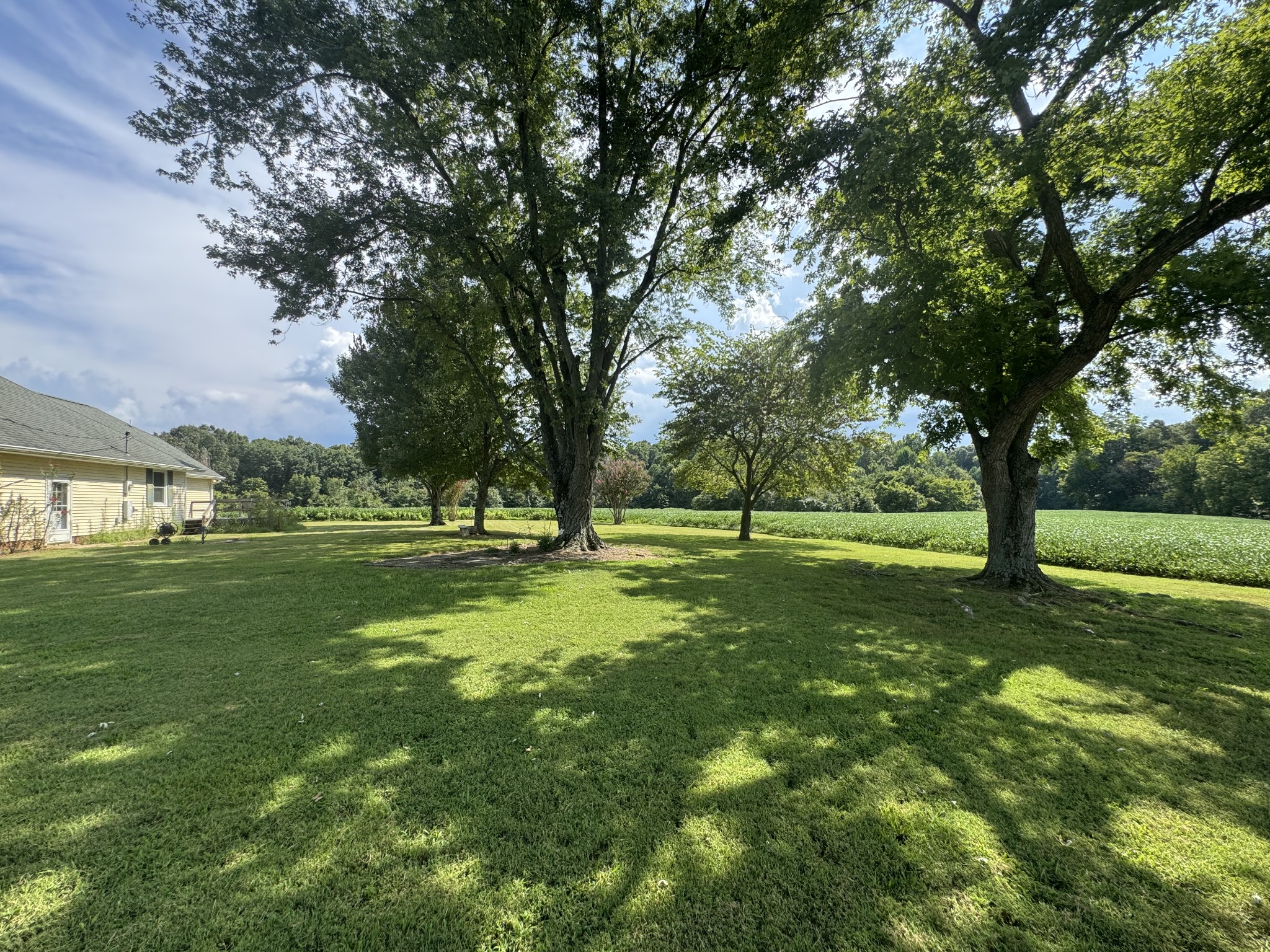 471 Pierce Road Martin, TN 38237 - Photo 38 of 40 Gallery Image 38