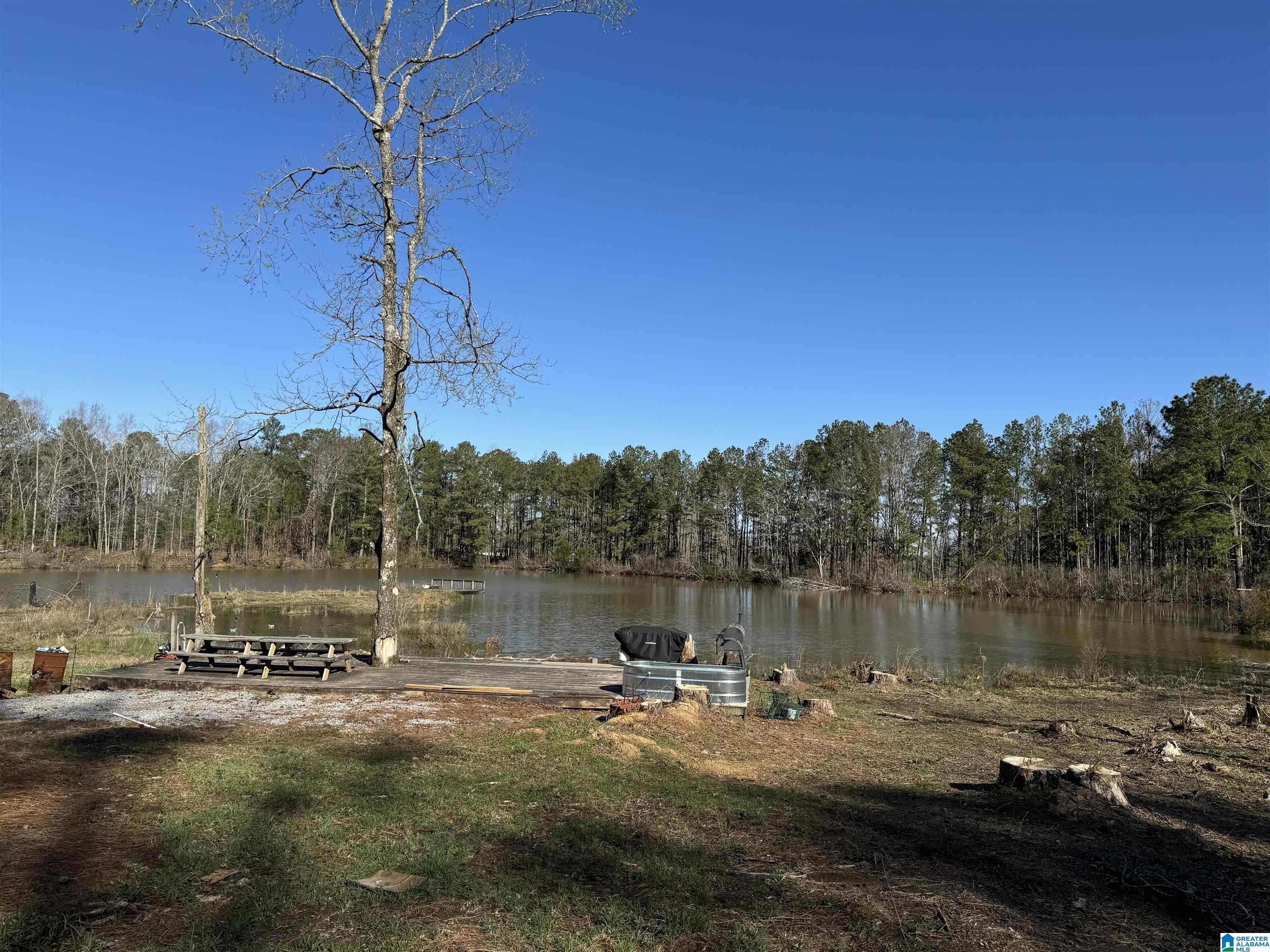 1080 County Road 46, Unit 1 Montevallo, AL 35115 - Photo 4 of 13