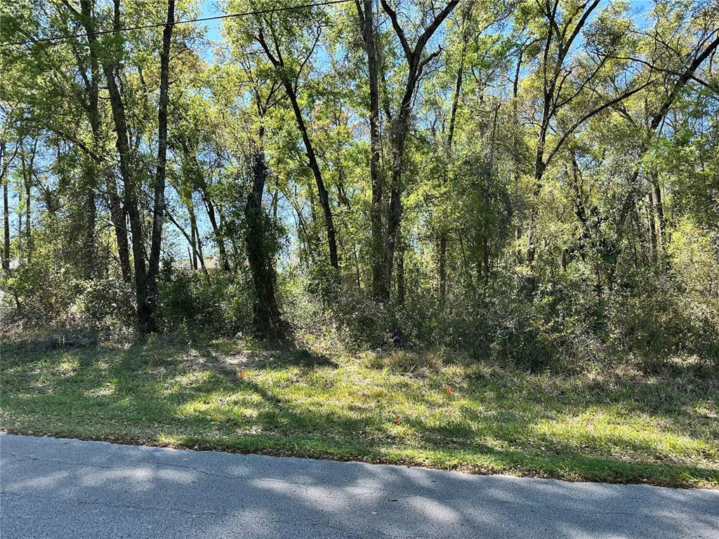 446 North Fitzpatrick Avenue Inverness, FL 34453 - Photo 2 of 5