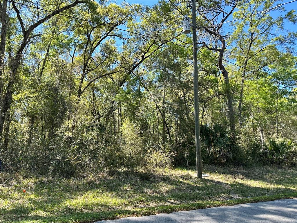 446 North Fitzpatrick Avenue Inverness, FL 34453 - Photo 3 of 5