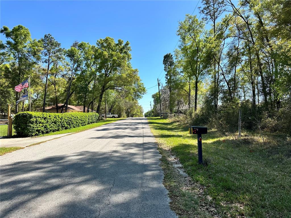 446 North Fitzpatrick Avenue Inverness, FL 34453 - Photo 4 of 5