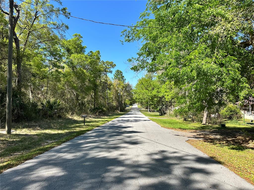 446 North Fitzpatrick Avenue Inverness, FL 34453 - Photo 5 of 5