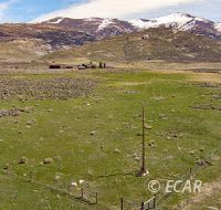 7296 Smith Creek Road Spring Creek, NV 89815 - Photo 34 of 36 Gallery Image 34