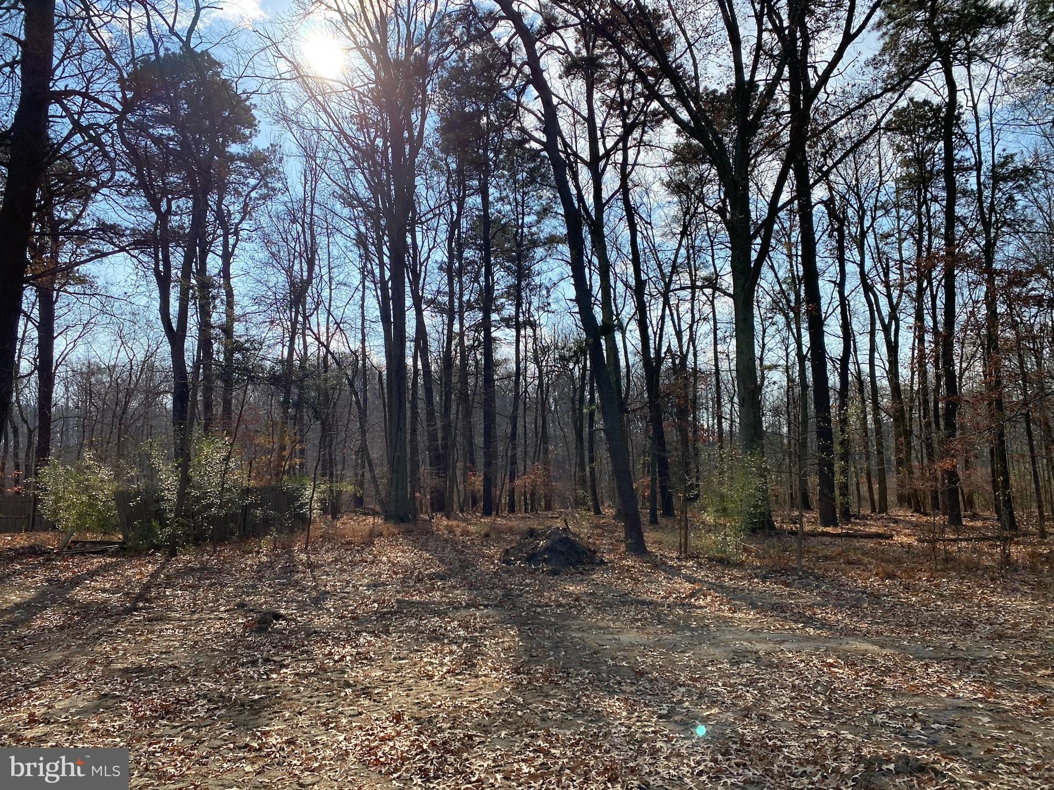 53 Holly Road Gibbsboro, NJ 08026 - Photo 7 of 22