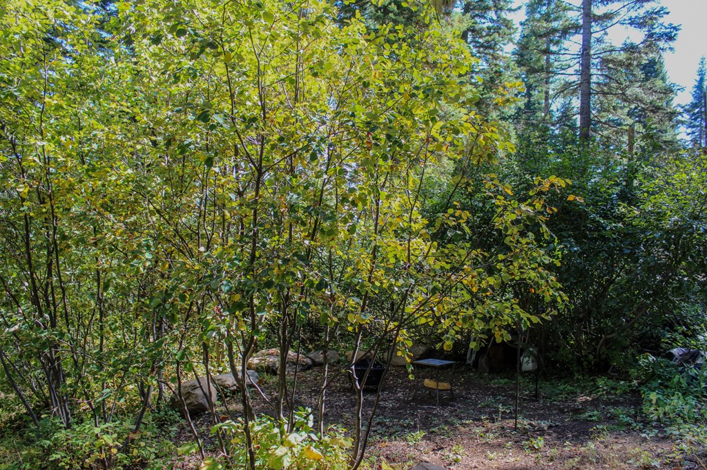 1204 Porcupine Road, Unit 2 Cascade, ID 83611 - Photo 3 of 5
