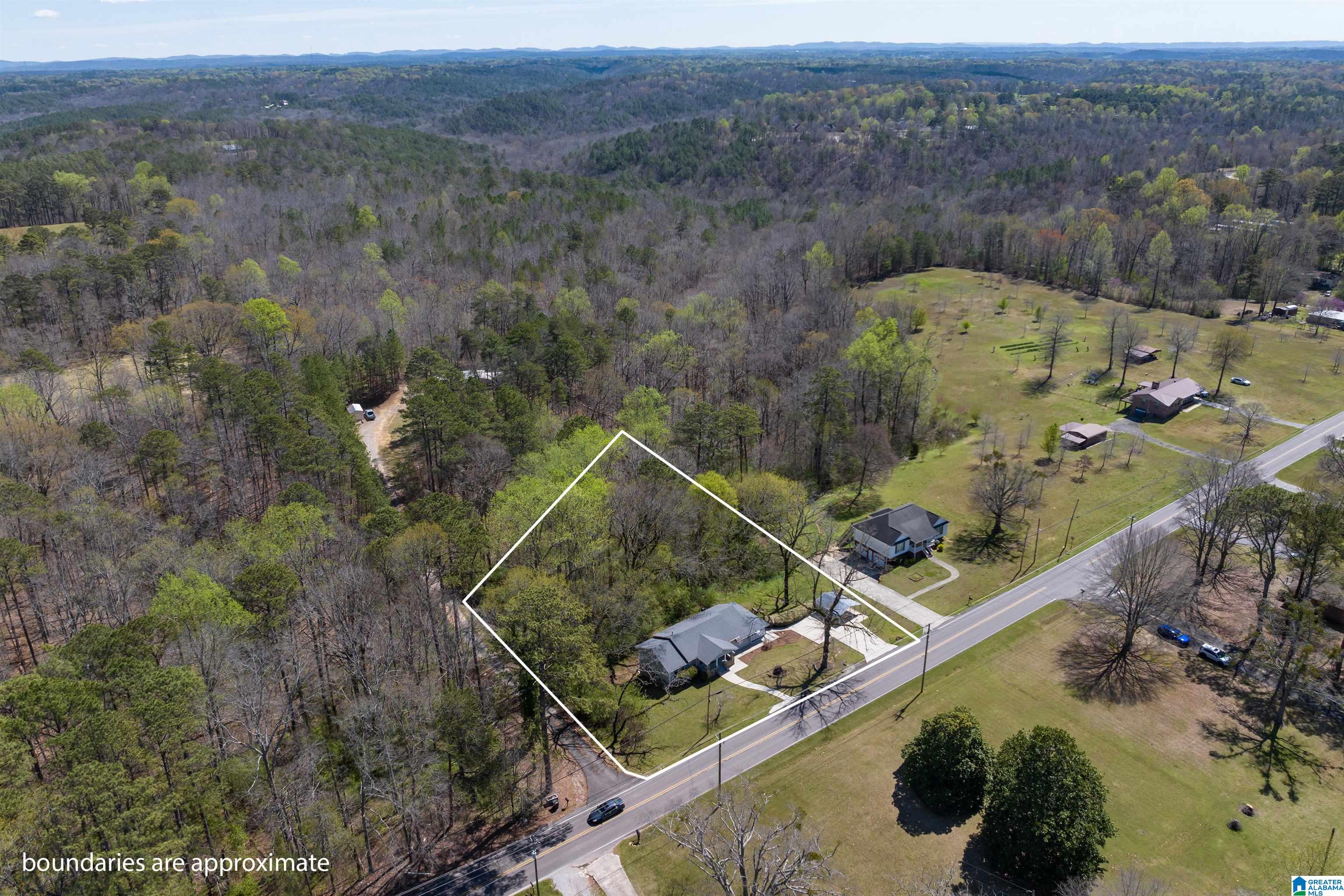 3645 Mt Olive Road Mount Olive, AL 35117 - Photo 6 of 42