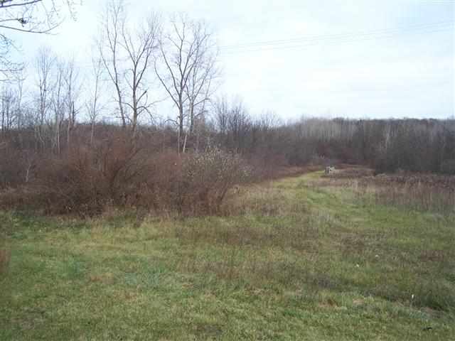 7641 Kitchen Goodells, MI 48027 - Photo 8 of 9 31080863-7.JPG