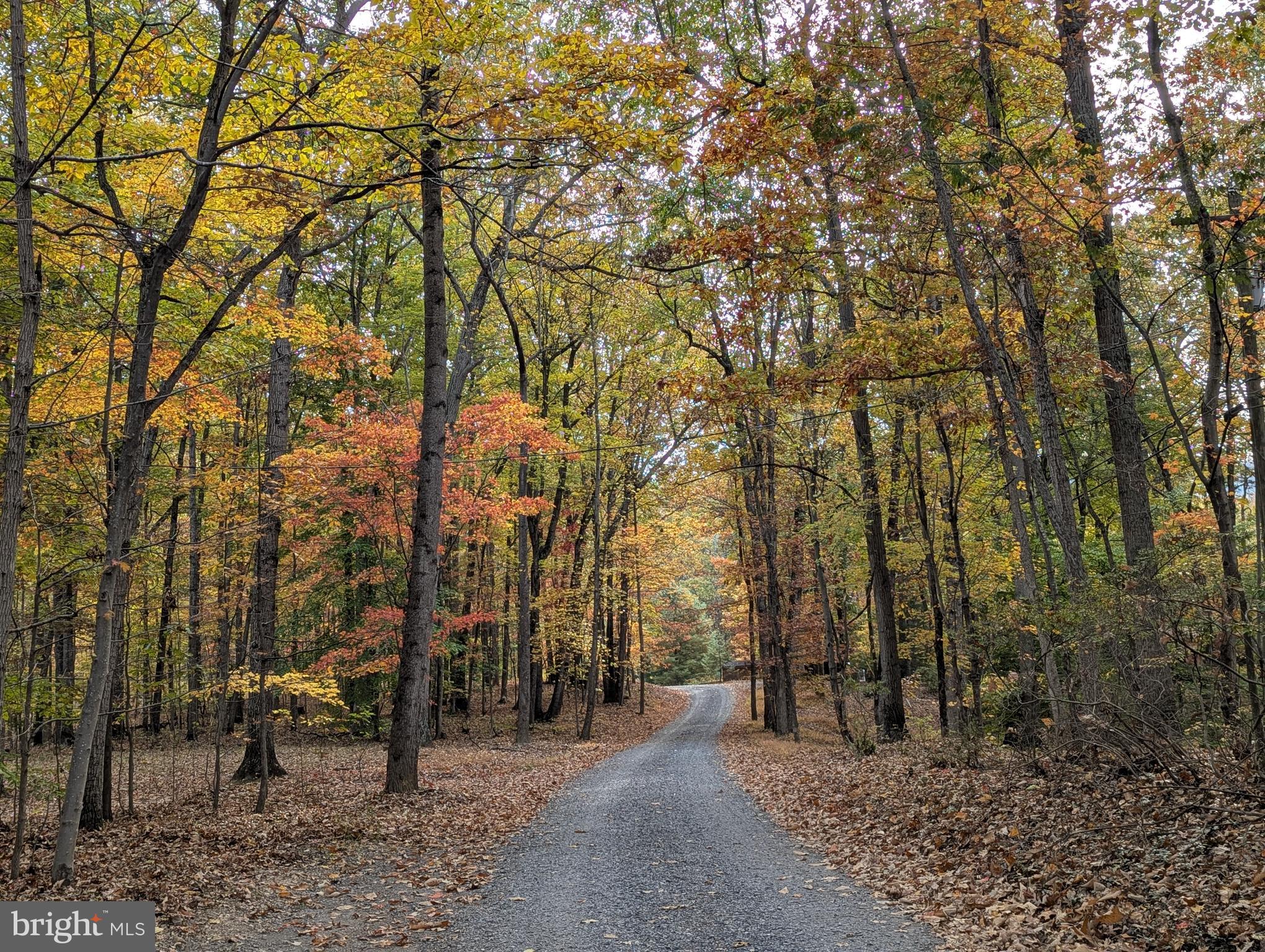 181 Brook View Road Front Royal, VA 22630 - Photo 2 of 47 a view of outdoor space with seating