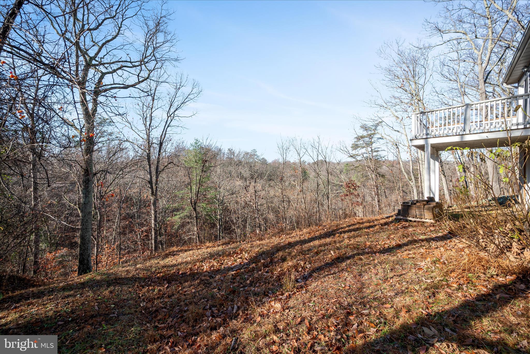 181 Brook View Road Front Royal, VA 22630 - Photo 28 of 47 a view of a yard with trees in the background