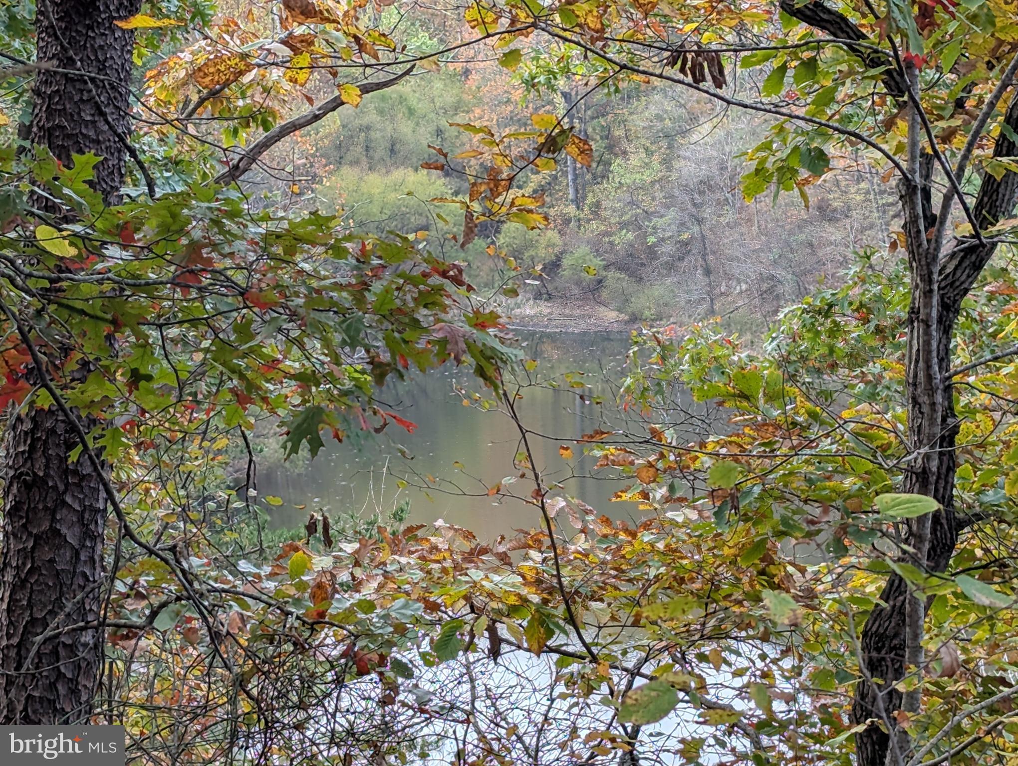 181 Brook View Road Front Royal, VA 22630 - Photo 43 of 47 a backyard of a house with lots of green space
