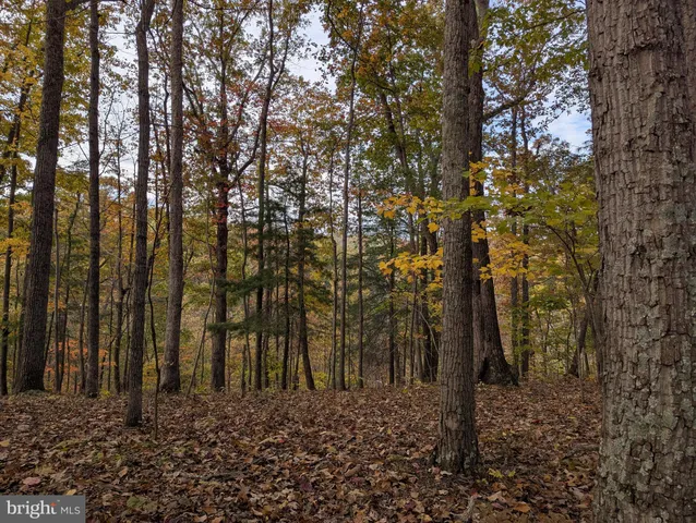 $380,000 | 181 Brook View Road, Front Royal, VA 22630