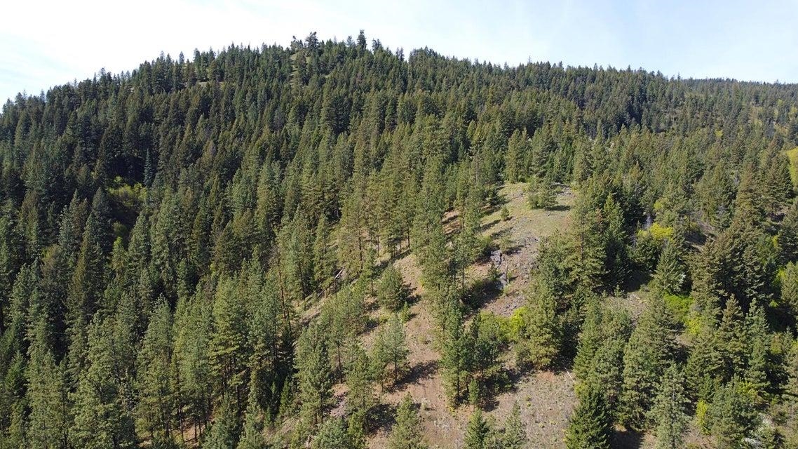 Tbd Silver Creek Road Inchelium, WA 99138 - Photo 13 of 19