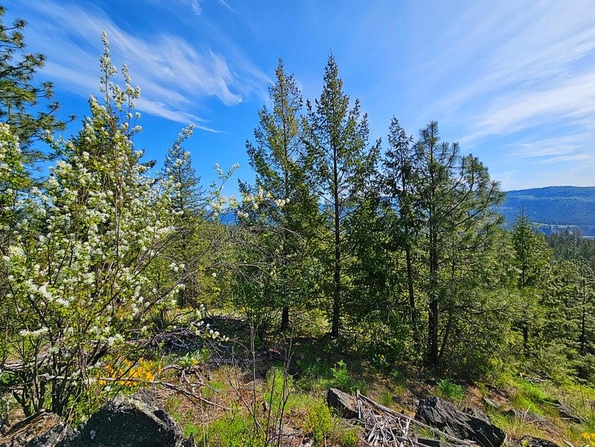 Tbd Silver Creek Road Inchelium, WA 99138 - Photo 6 of 19