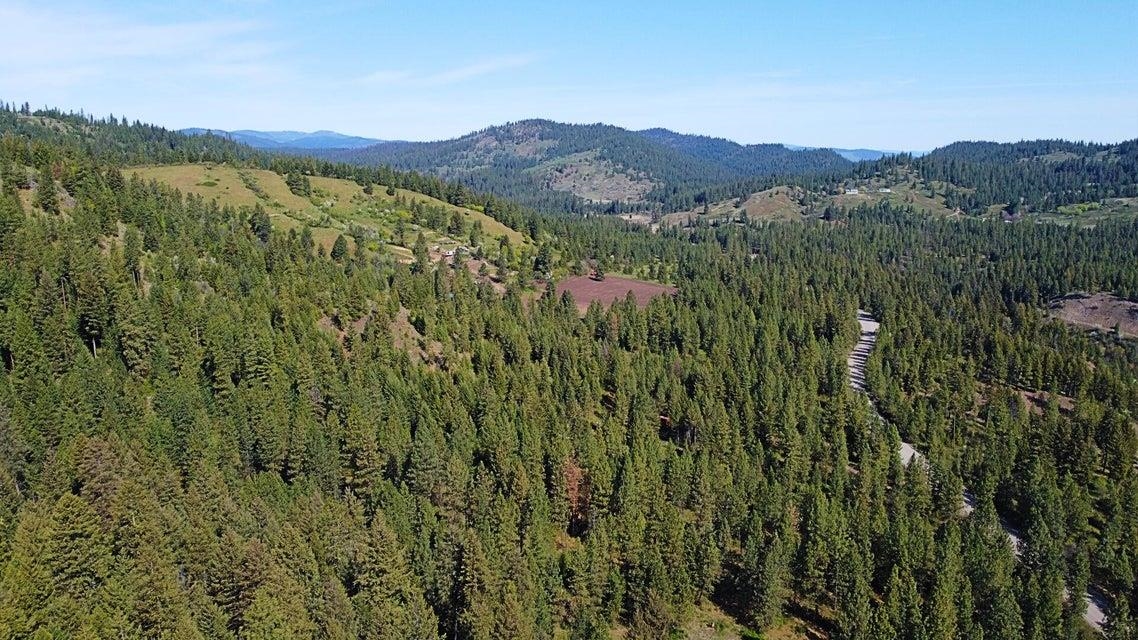 Tbd Silver Creek Road Inchelium, WA 99138 - Photo 7 of 19