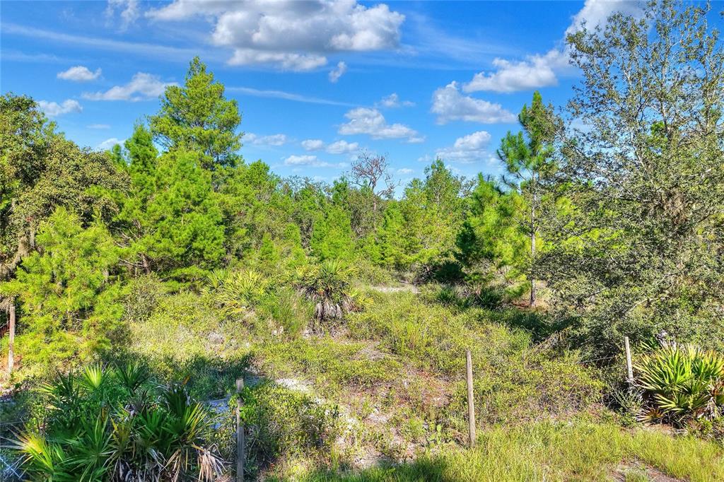 730 McClellan Road Frostproof, FL 33843 - Photo 50 of 50 a view of a green yard