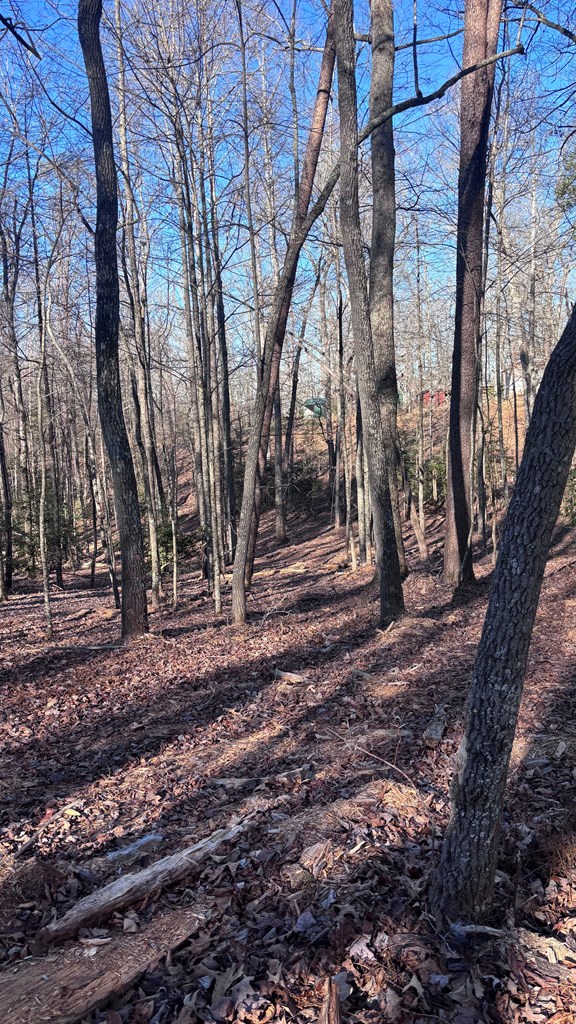 Lot 74 Bice Lane Blue Ridge, GA 30513 - Photo 10 of 15 Gallery Image 10