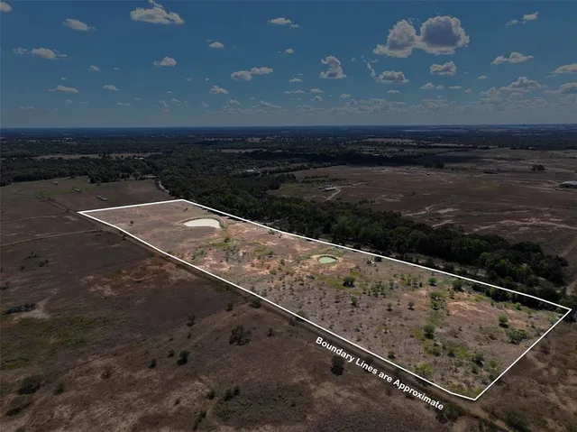 a view of a pathway of a yard