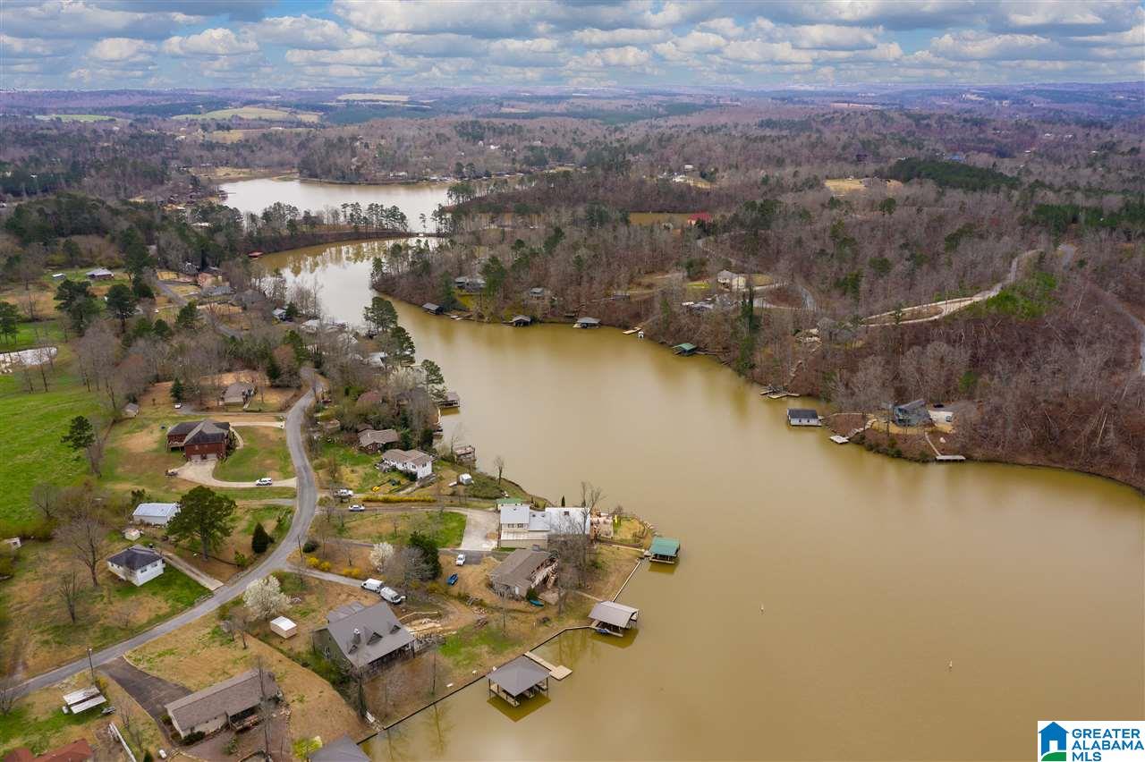282 Lakeshore Lane Oneonta, AL 35121 - Photo 42 of 46