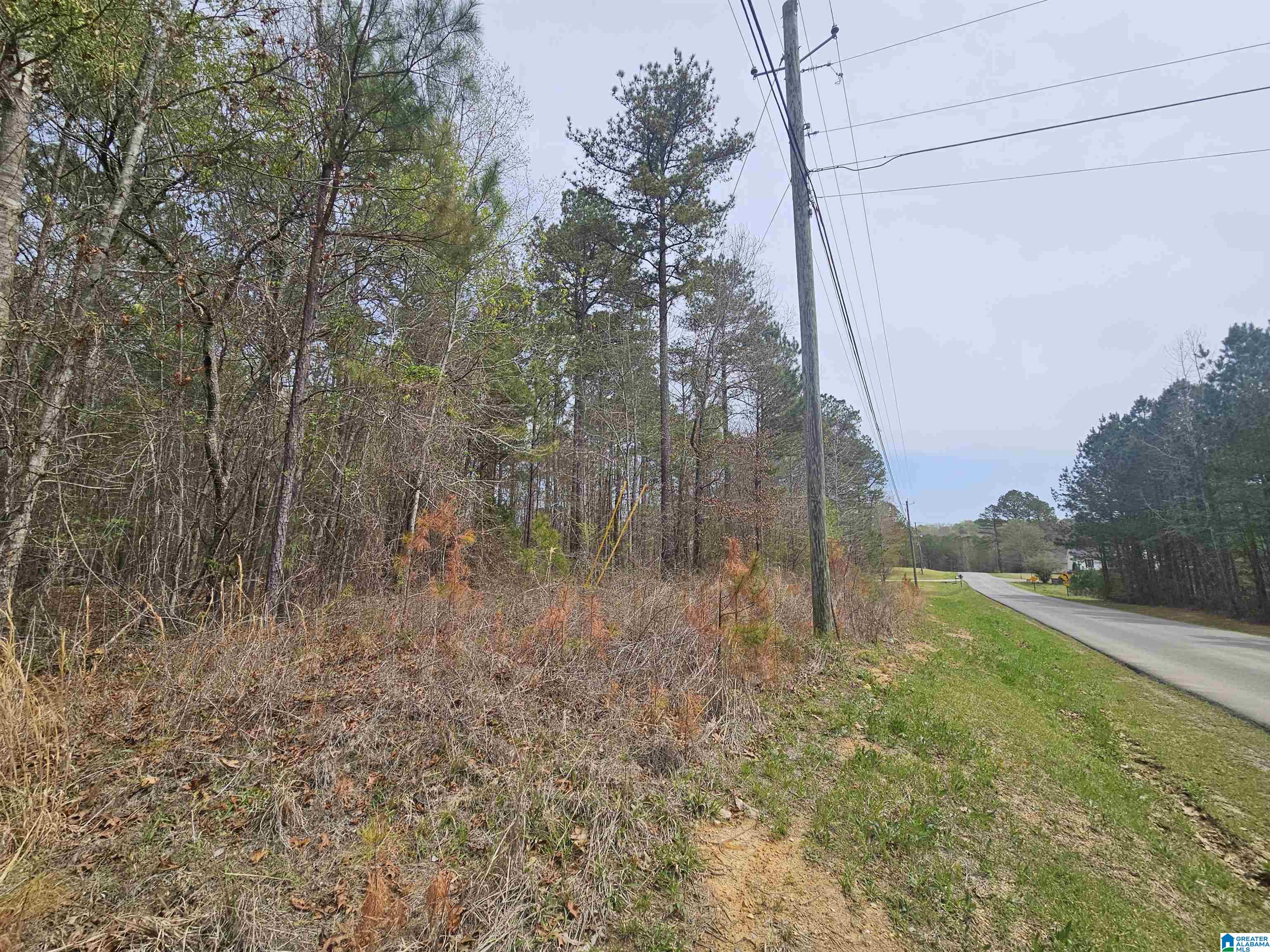 0 Hunters Xing Road, Unit 45&46 Odenville, AL 35120 - Photo 5 of 6