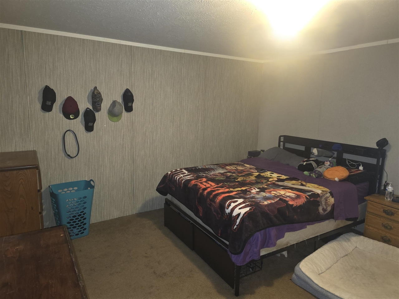 360 East Tuttle Road, Unit 55 Ionia, MI 48846 - Photo 17 of 19