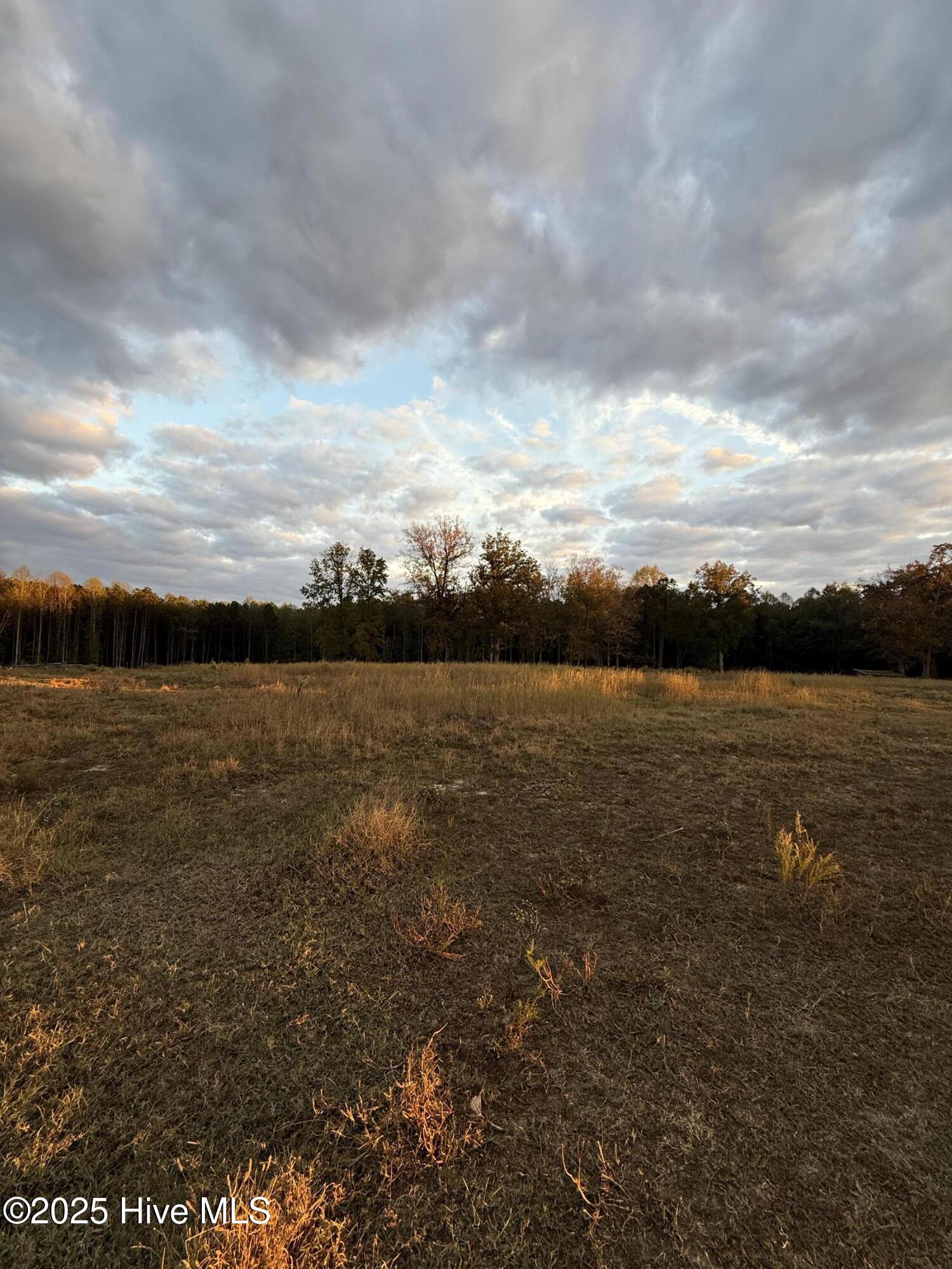 4458 Weaver Road Wilson, NC 27893 - Photo 18 of 29 Weaver-11