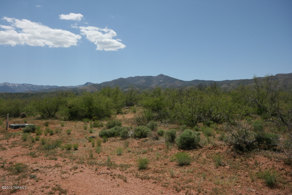81483 East Goldbug Road Oracle, AZ 85623 - Photo 4 of 12