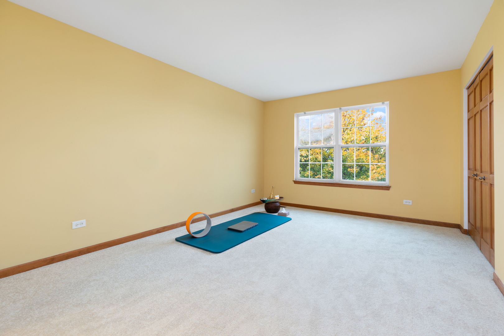25231 Gettysburg Road Plainfield, IL 60544 - Photo 23 of 30 an empty room with windows