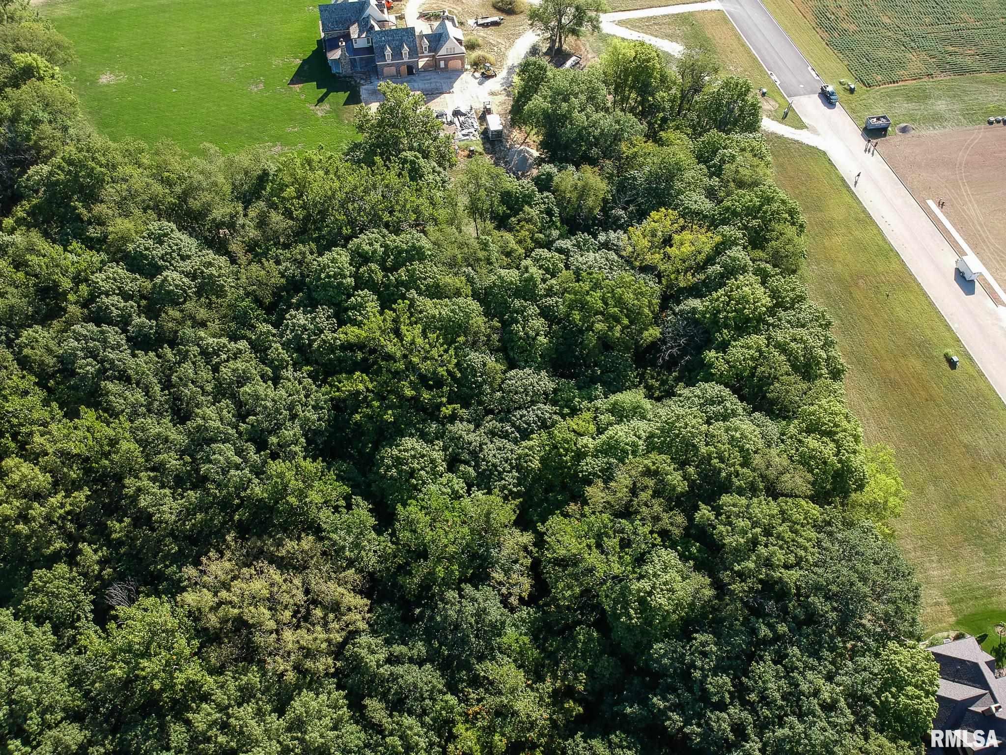 35 Timber Wolf Drive Morton, IL 61550 - Photo 12 of 14