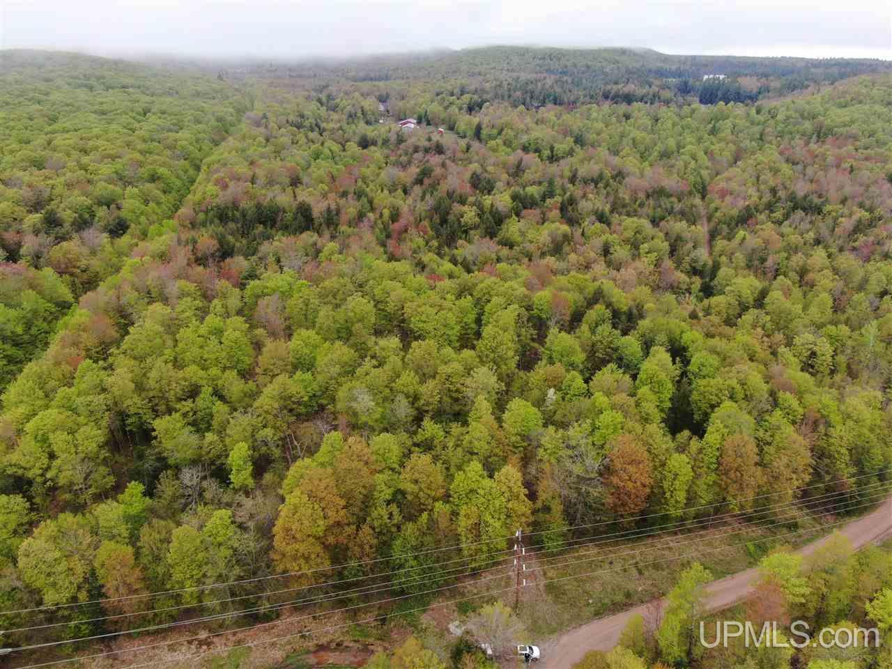 0 County Road 577 Road, Unit ANNA RIVER RDP Munising, MI 49862 - Photo 7 of 26