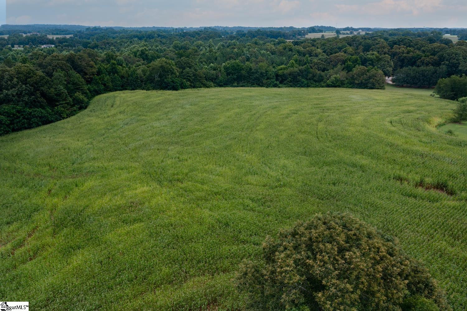 0 Oakway Road Westminster, SC 29693 - Photo 1 of 15 Gallery Image 1