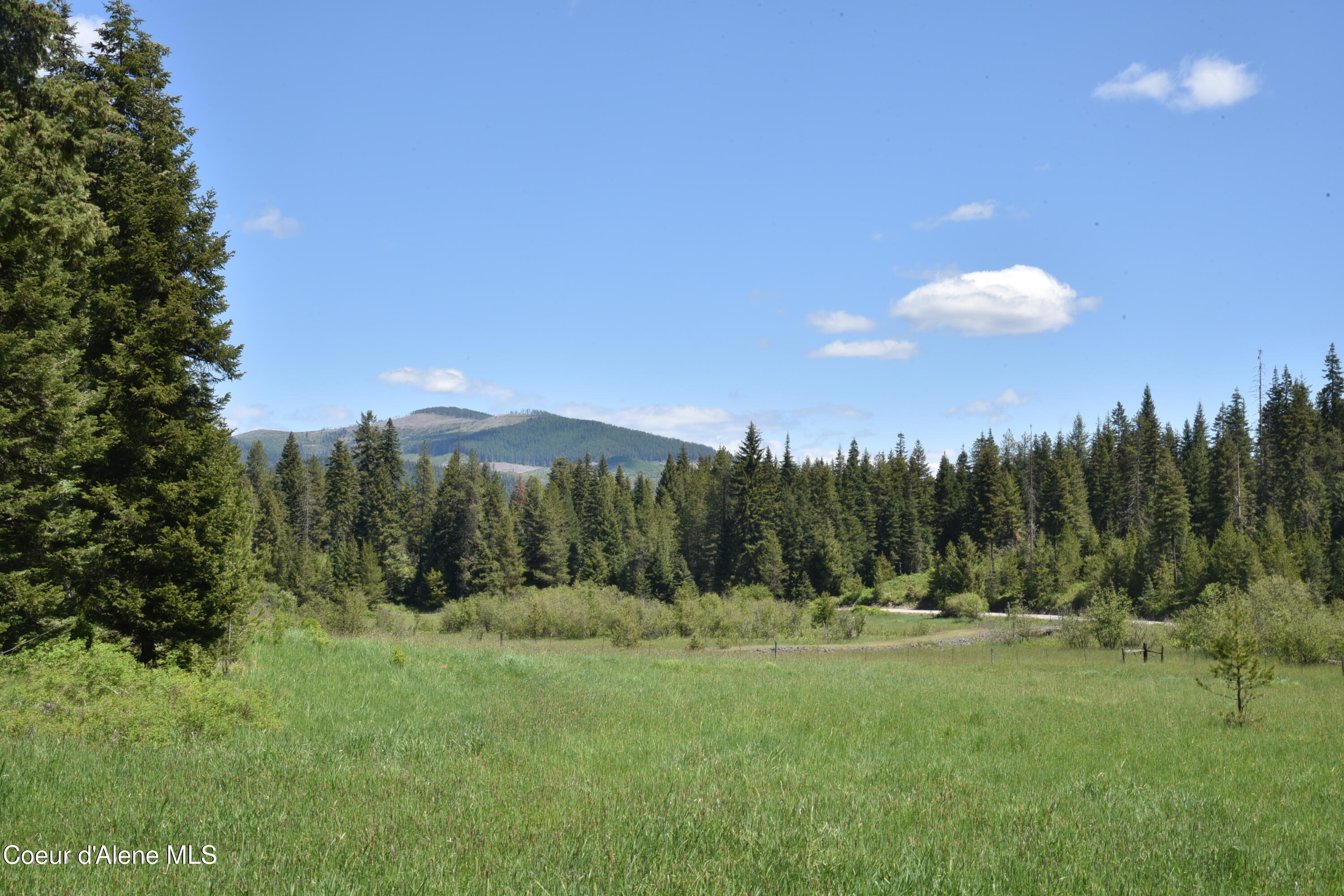 Nna Carpenter Creek Road Fernwood, ID 83830 - Photo 1 of 13 1