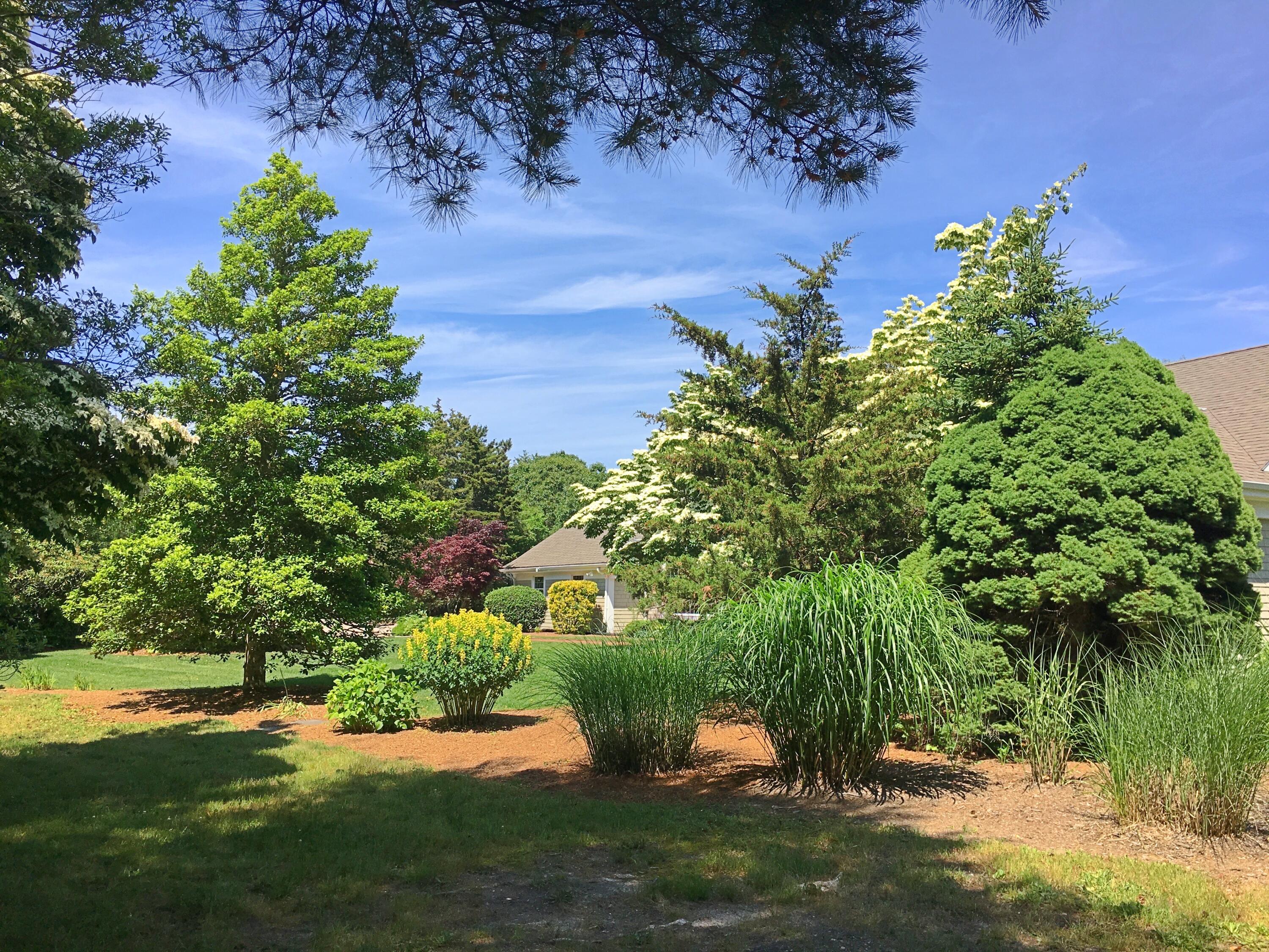 29 Jack Knife Point Road Orleans, MA 02653 - Photo 26 of 96 IMG_5990