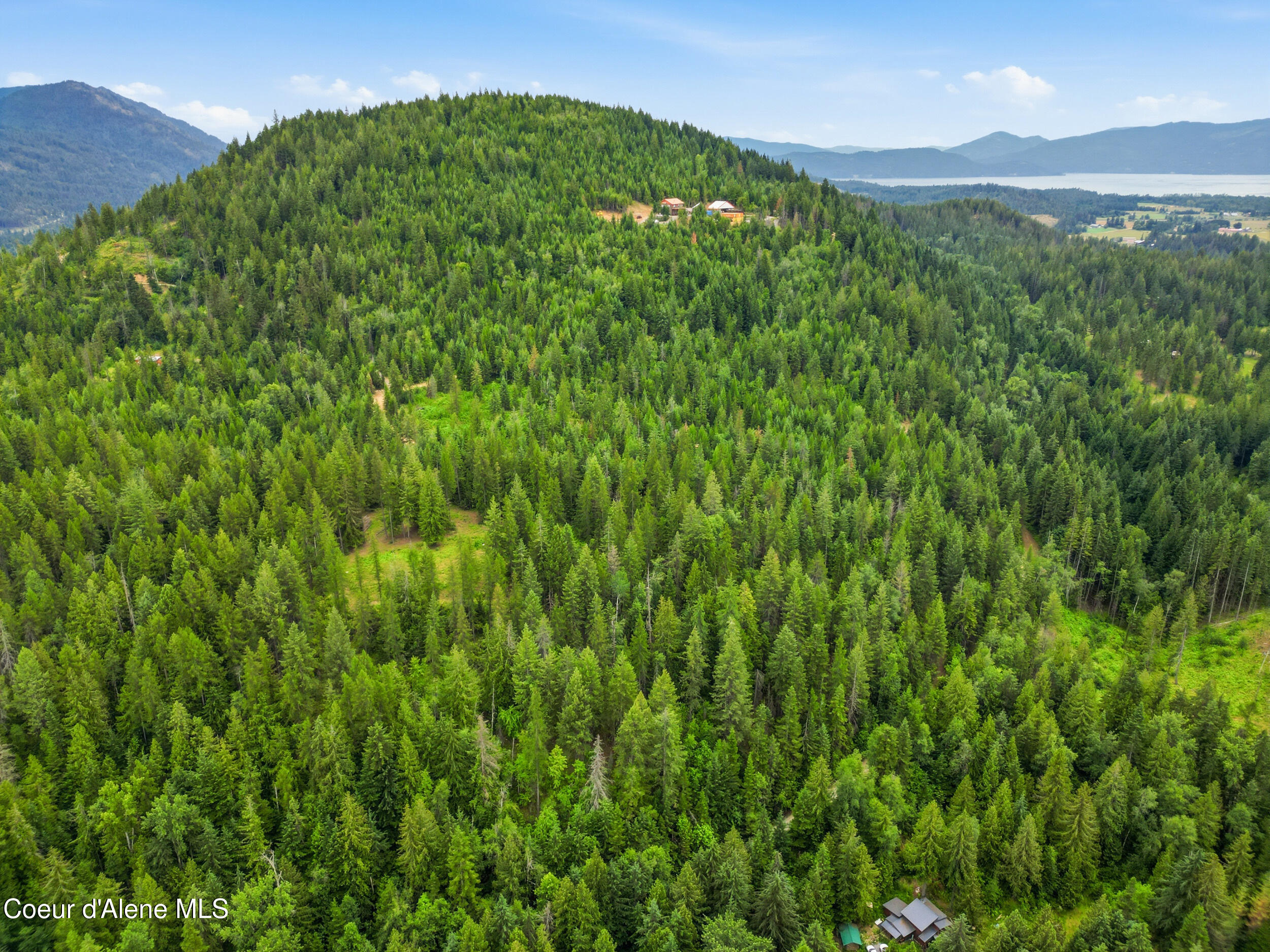 217 Whodathunkit Road Sandpoint, ID 83864 - Photo 3 of 30 3_dji_0314