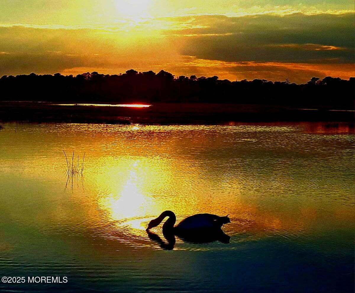 54 Beach Avenue Bayville, NJ 08721 - Photo 5 of 31 a view of an ocean from a city