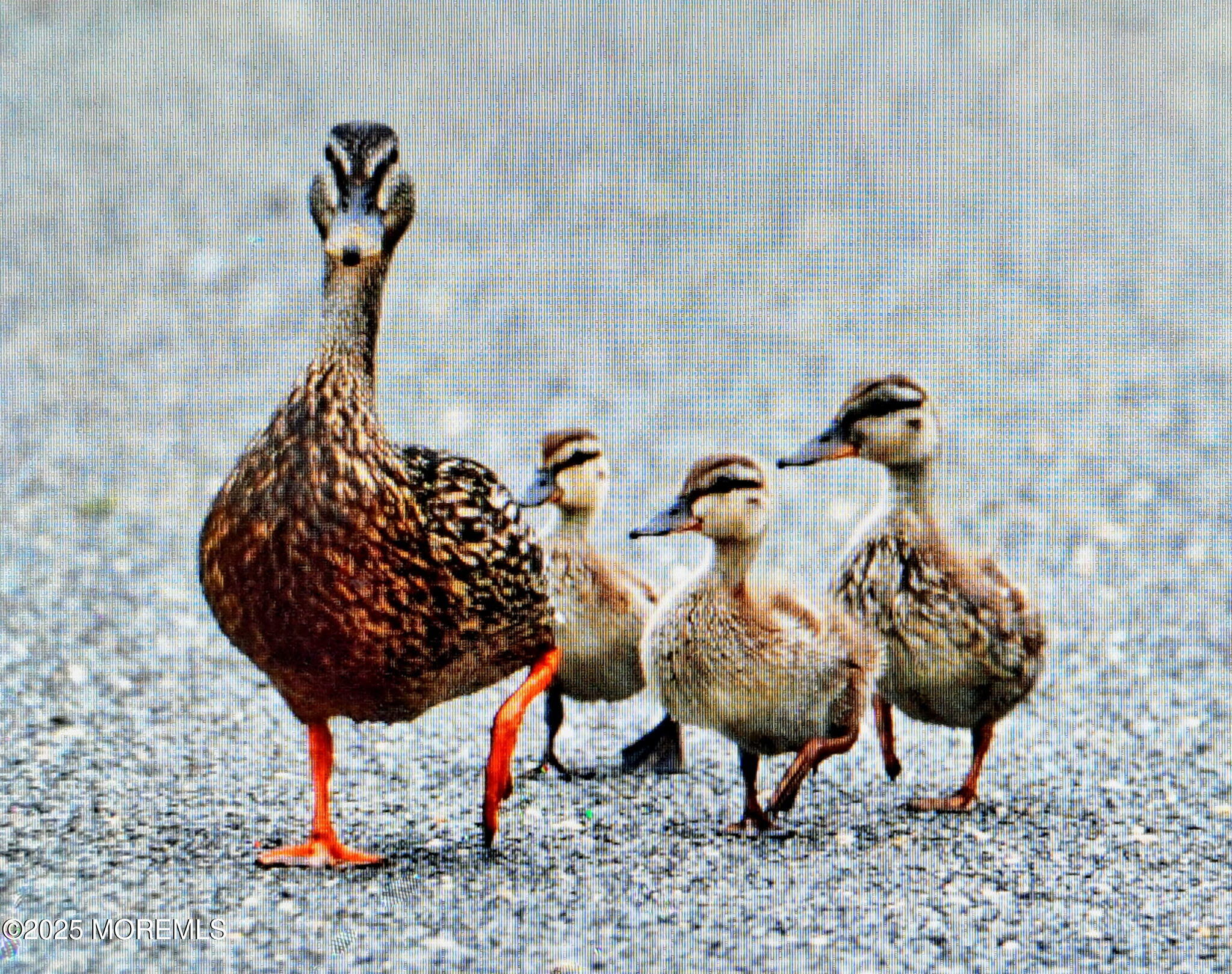 54 Beach Avenue Bayville, NJ 08721 - Photo 7 of 31 a view of entryway