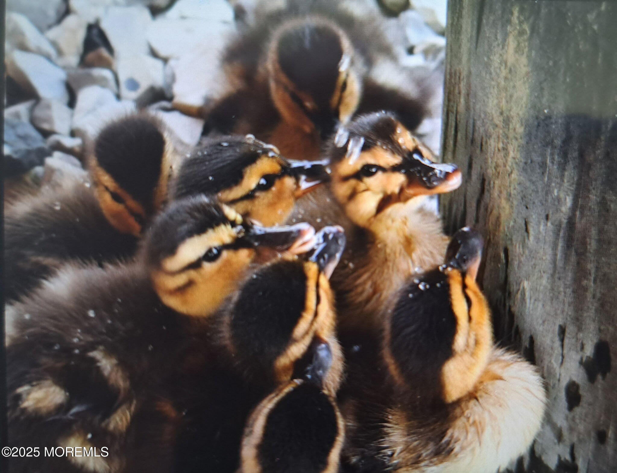 54 Beach Avenue Bayville, NJ 08721 - Photo 8 of 31 a close up of a light