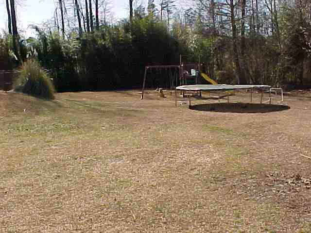 356 Olive Street Easley, SC 29640 - Photo 20 of 20 Gallery Image 20