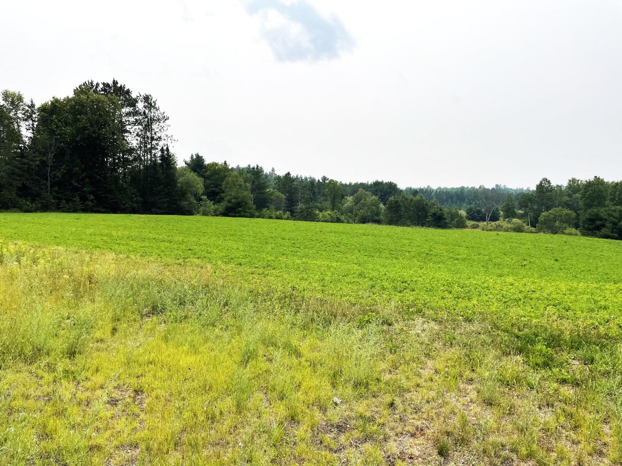 N13317 Old 13 Road Fifield, WI 54524 - Photo 25 of 39 Gallery Image 25