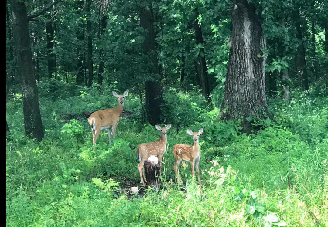 999 Main Street Crete, IL 60417 - Photo 3 of 17 Gallery Image 3