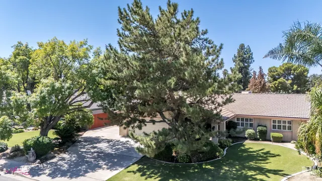 a view of a house with a tree