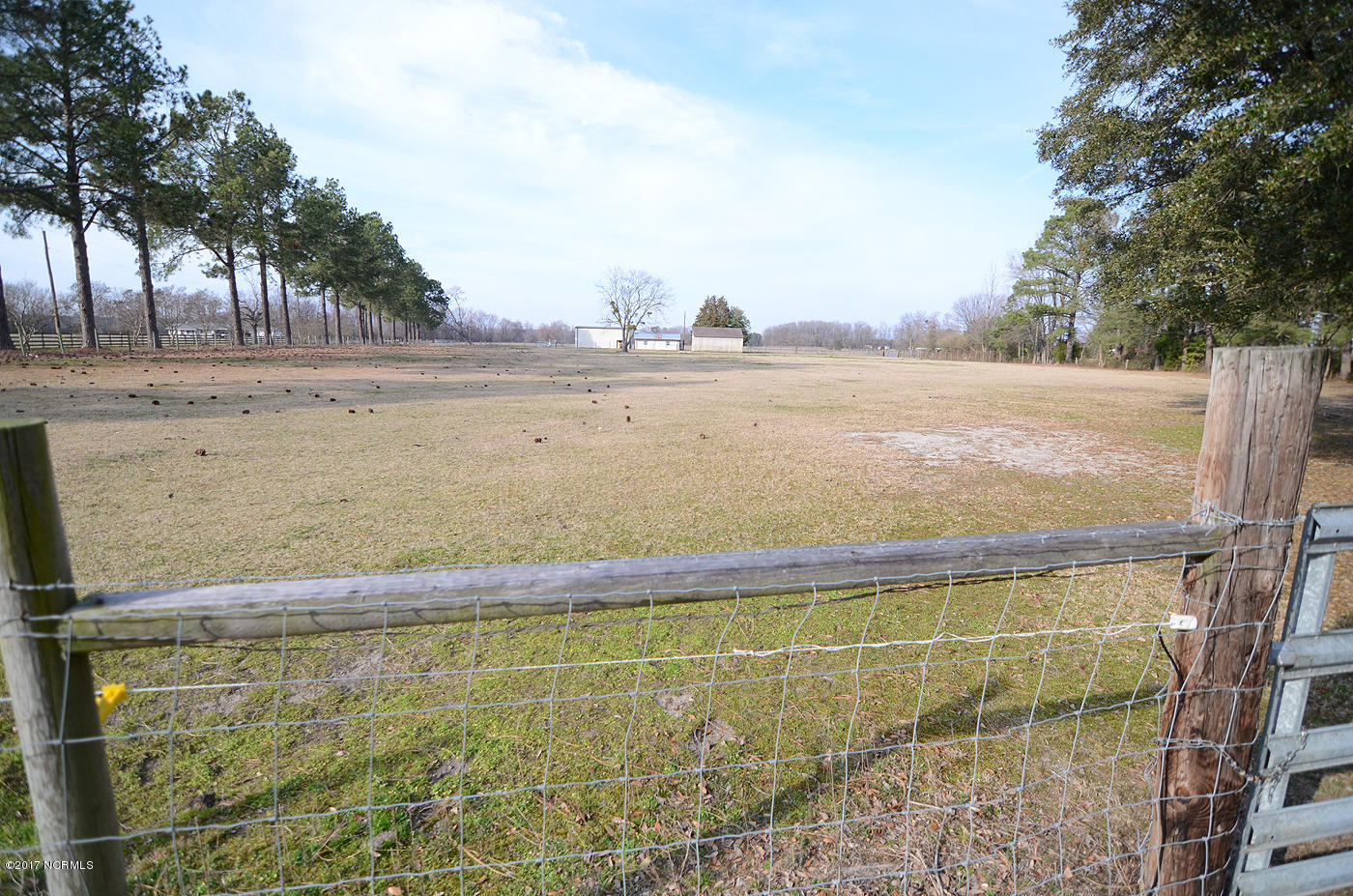 8858 Robbins Road, Unit A Rocky Mount, NC 27803 - Photo 21 of 29 19 Front Yard