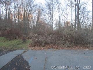 Lot#96 R Morning Dove Road Naugatuck, CT 06770 - Photo 1 of 1 Gallery Image 1